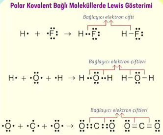 kimya-polar-kovalent-lewis.png